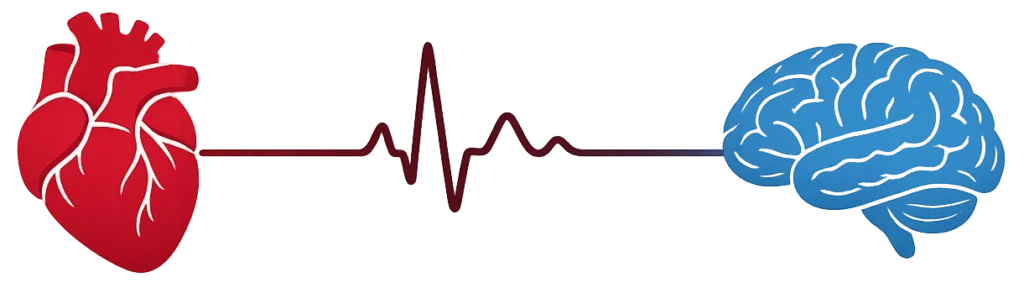Illustration showing a human heart and brain connected by an ECG line, symbolizing the link between heart health and stroke prevention.